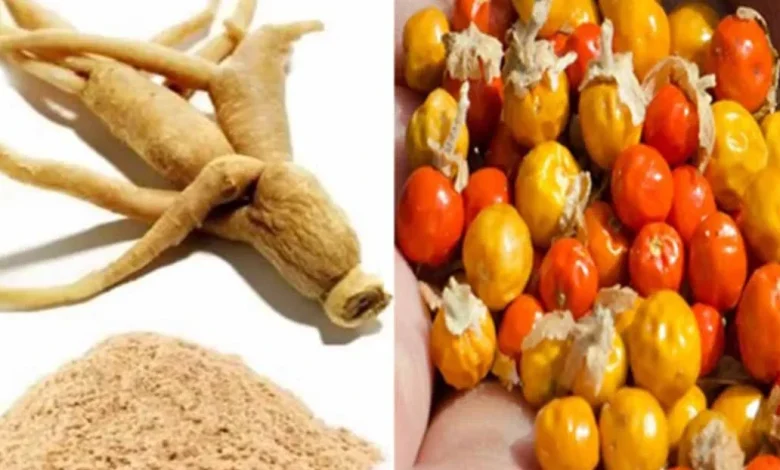 عشبة الاشواجندا