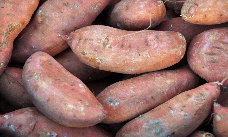 فوائد البطاطا المسلوقه