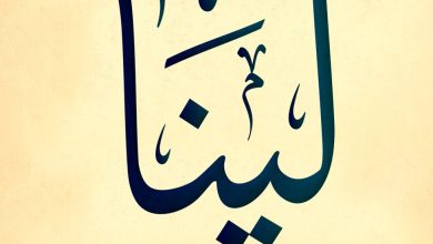 معنى اسم لينا