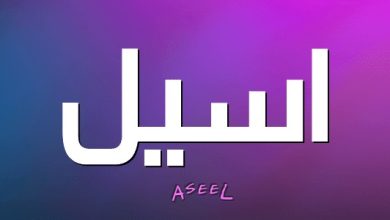 معنى اسم أسيل