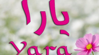 معنى اسم يارا