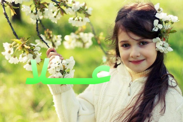 معنى اسم غلا