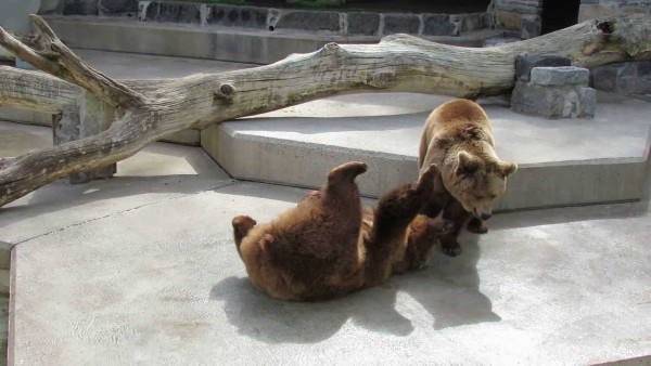 افضل اماكن السياحية في مونشنغلادباخ