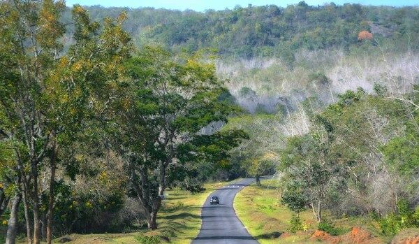 السياحة في كيرلا