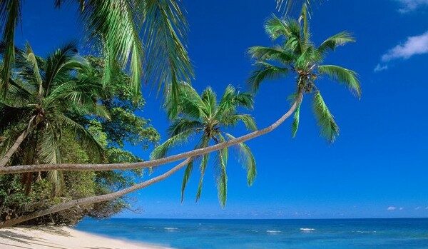 السياحة في غوا