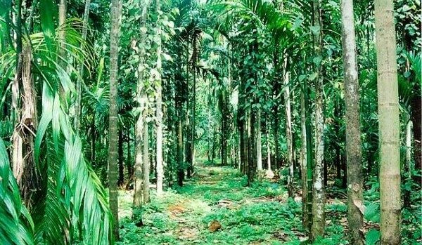 السياحة في غوا