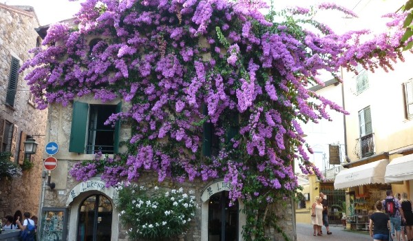 السياحة في سيرموني