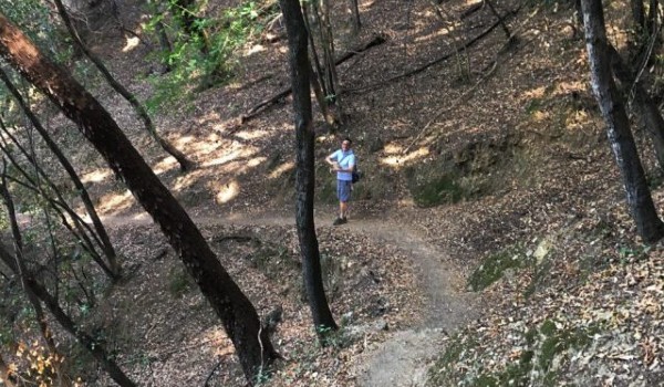 السياحة في بورتوفينو