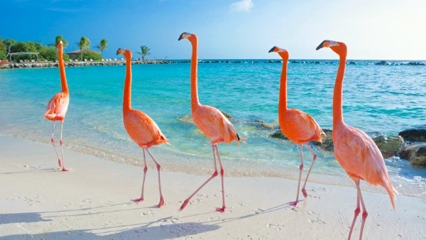 السياحة في رأس الخيمة