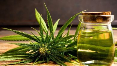 عشبة رجل الأسد للتنحيف