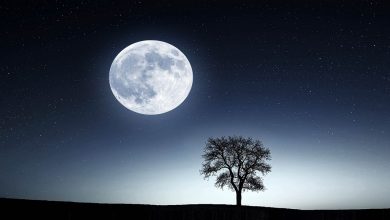 عبارات عن القمر