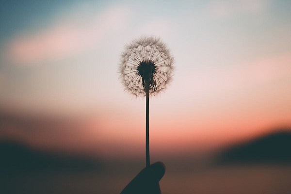 كلام جميل عن الحياة