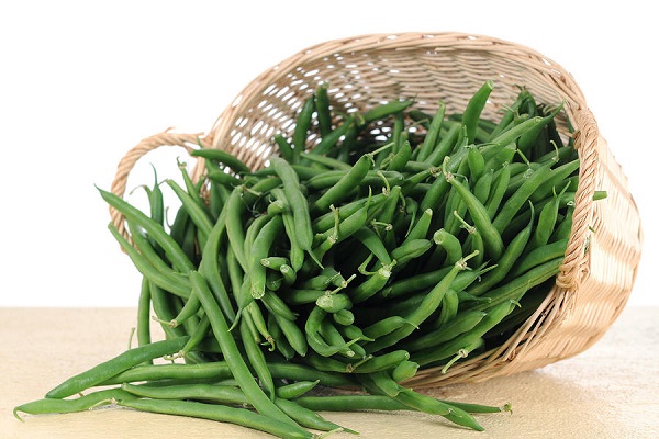 فوائد فاصوليا خضرا