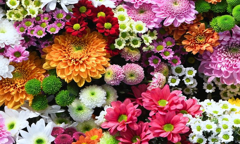 عبارات عن الورد