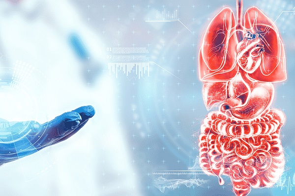 طبيب باطنية عربي في بريمن