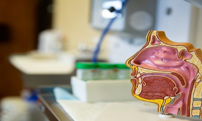 طبيب أنف واذن وحنجرة عربي في بريمن