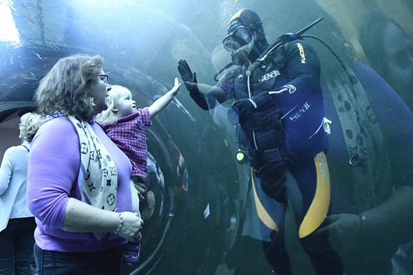 السياحة في فيينا