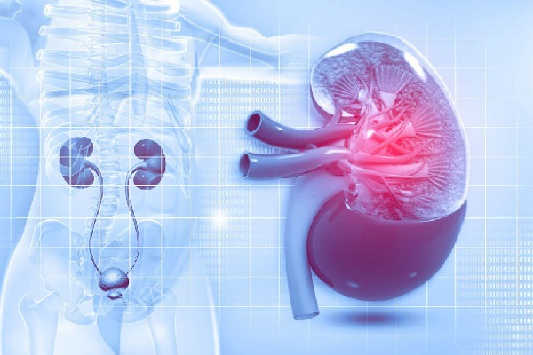 طبيب مسالك بولية عربي في مانهايم