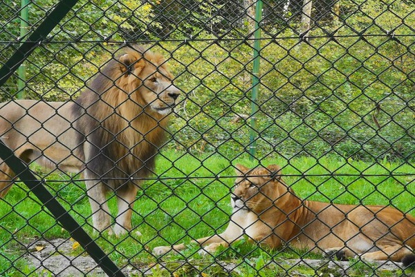 السياحة في سالزبورغ