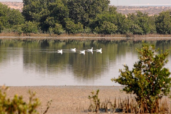 السياحة في الامارات