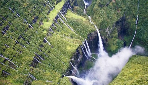 أكواريوم جزيرة ريونيون