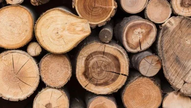 أنواع الخشب