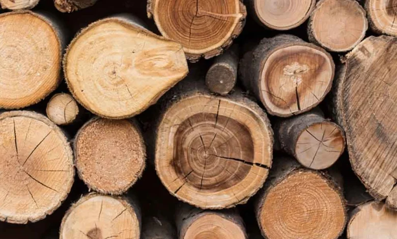 أنواع الخشب