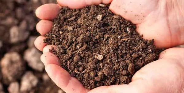 التراب في المنام