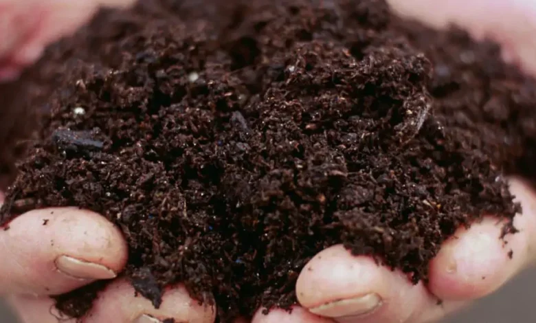 التراب في المنام