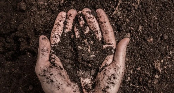 التراب في المنام