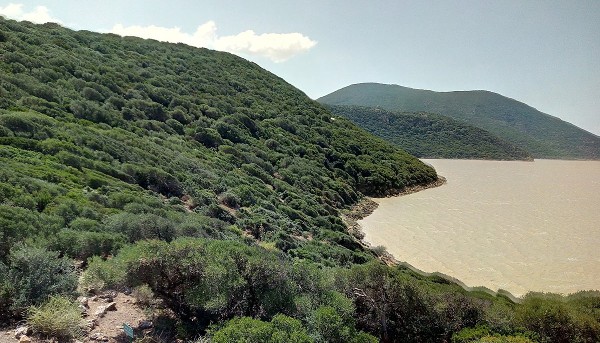 الحديقة الوطنية بإشكل