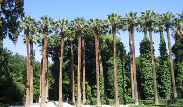 الحديقة الوطنية