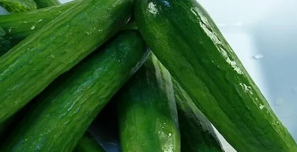 الخيار في المنام