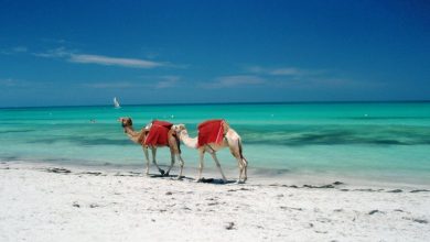 السياحة في جزيرة جربة