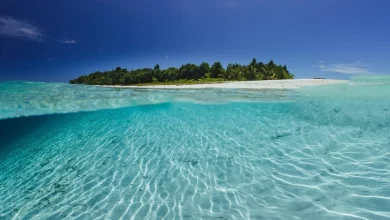 السياحة في جزيرة ريونيون