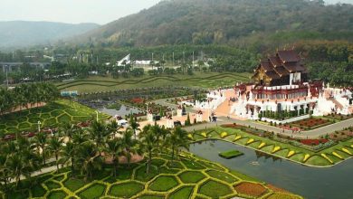 السياحة في شنغماي