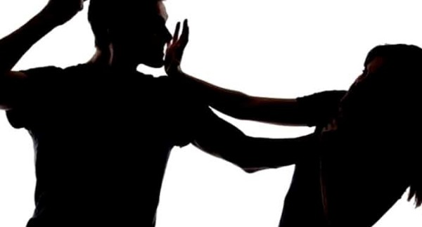 الشجار في المنام