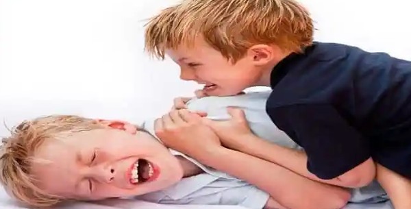 الشجار في المنام