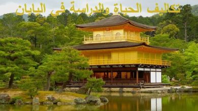 المعيشة في اليابان