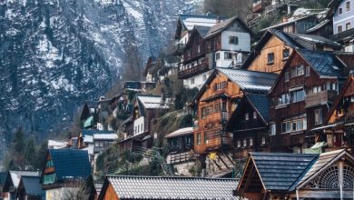 الهجرة إلى النمسا