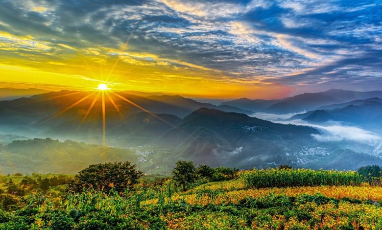 اين ولد سيدنا ابراهيم