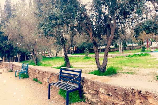 السياحة في اربد