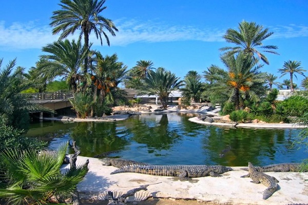 السياحة في جزيرة جربة