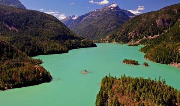 حديقة ايدن جاردن