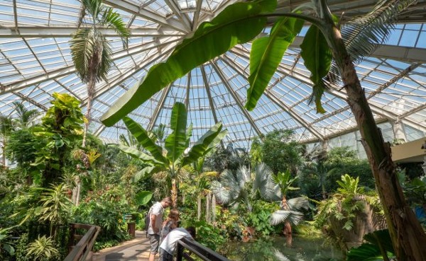 حديقة جبل فسيوبيا