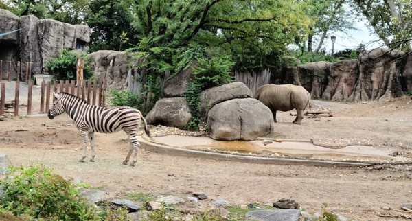حديقة حيوان فيلادلفيا