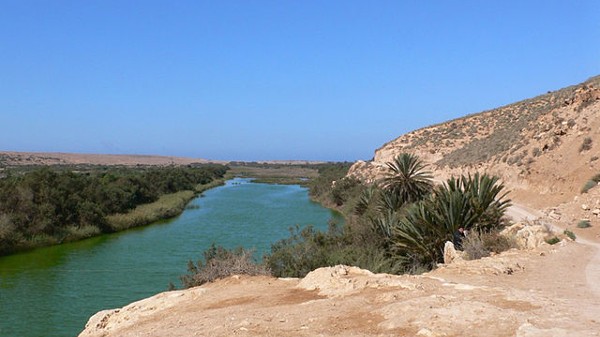 حديقة سوس ماسة الوطنية