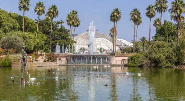 حديقة فونيكس