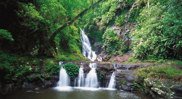 حديقة لامينغتون الوطنية