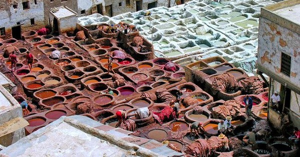 السياحة فى فاس